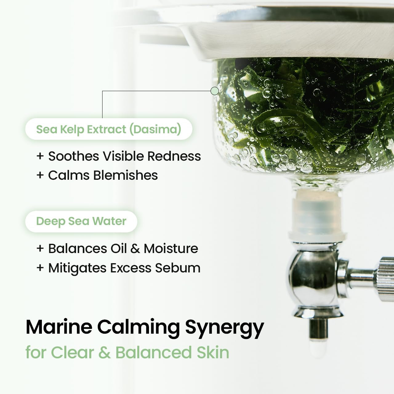 Refreshing Sea Kelp Real Deep Mask, Overnight Hydrogel Face Mask, Calming, Oil & Sebum Control, Blemish Care, after Sun Care, Sunburn Relief, Korean Skin Care | 1.19Oz(34G) X 4Ea