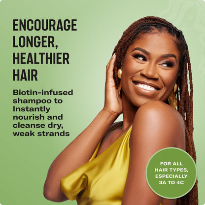 Rosemary Mint Hair Strengthening Biotin Shampoo - Moisturizing Hair Shampoo for Women and Men to Gently Cleanse, Repair & Protect Strands (12 Oz)